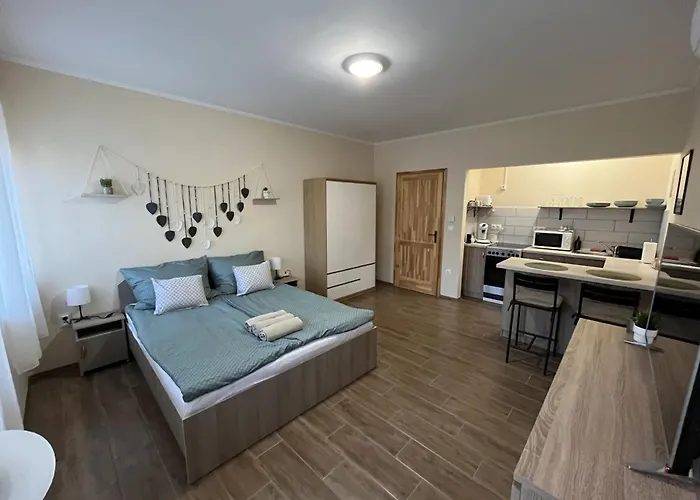Adam Vendeghaz Apartment
