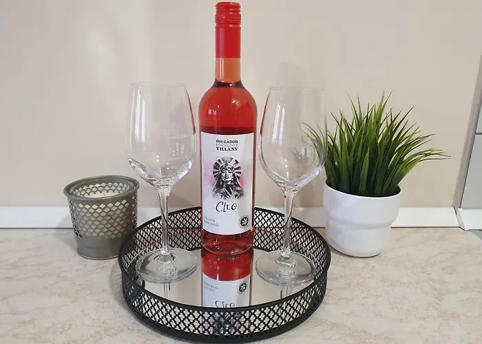 Apartament Adam Vendeghaz *